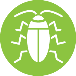 C067_Bug_IconV2